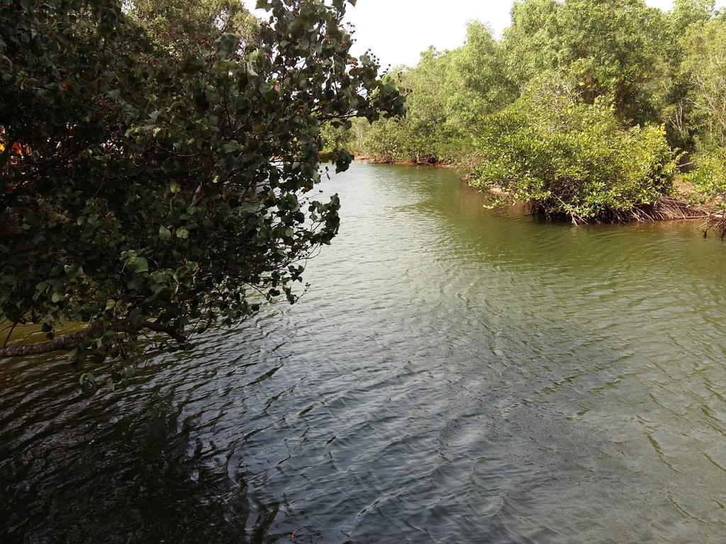 Mangroves & More @ Cambodia Sihanoukville Exterior foto